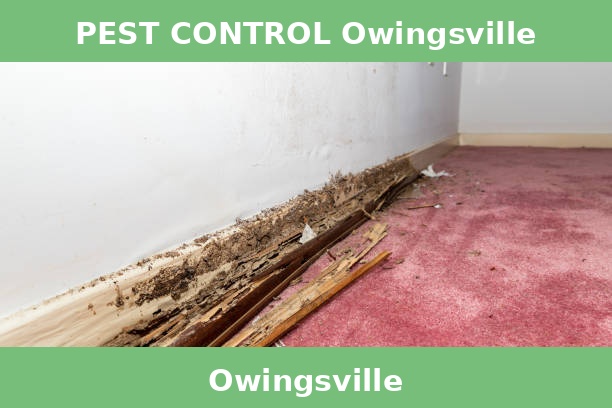 PEST CONTROL Owingsville